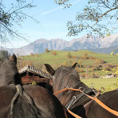 Oberdeutinghof * Saalfelden