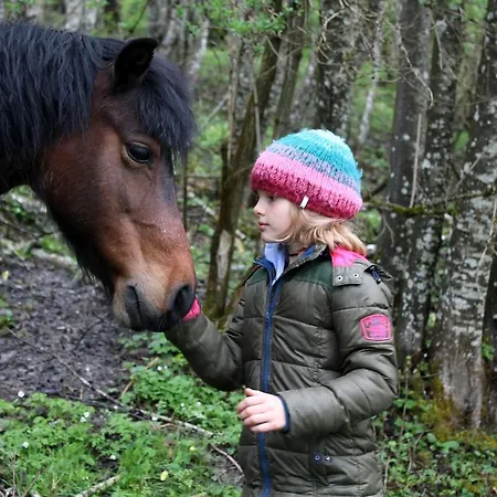 أوبيردوتينغهوف شقة *