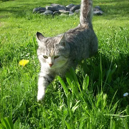 شقة أوبيردوتينغهوف سالفلدن ام ستينه