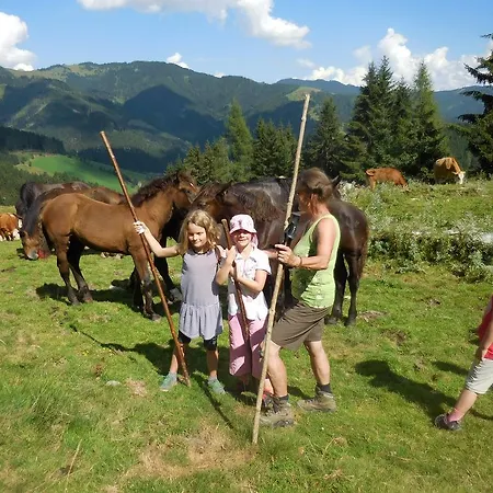 Oberdeutinghof Saalfelden