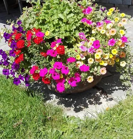 Oberdeutinghof סאלפלדן אם שטיינרן מיר