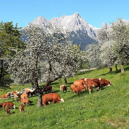 شقة أوبيردوتينغهوف *