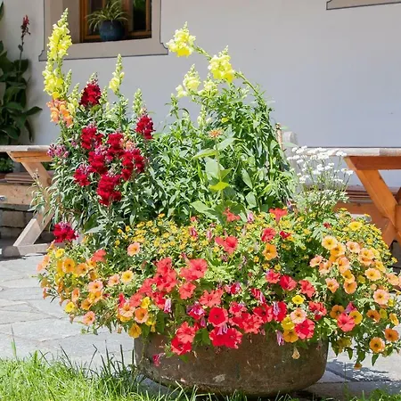 Apartament Oberdeutinghof