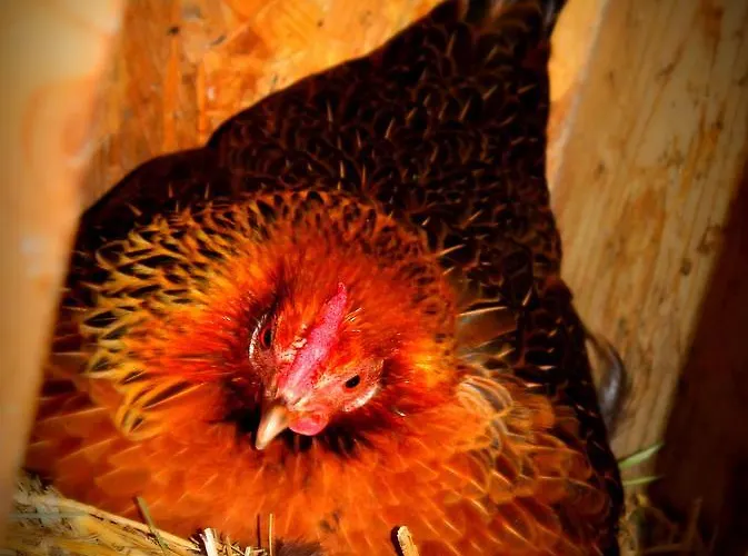 Oberdeutinghof Apartmán *