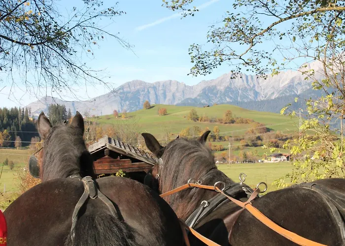 Oberdeutinghof * Saalfelden