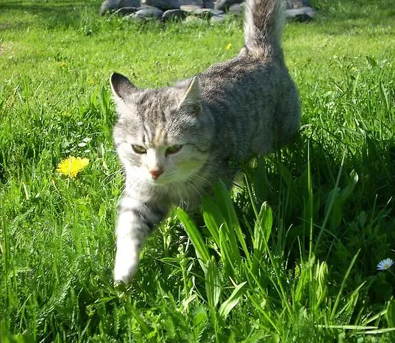 Apartmán Oberdeutinghof Saalfelden