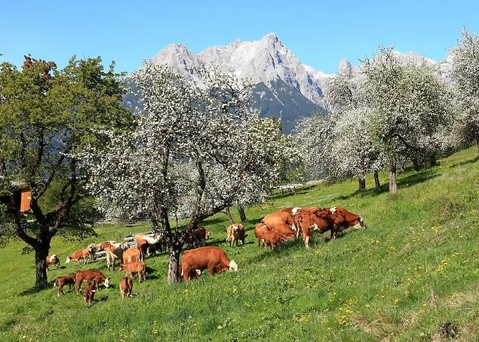 Apartmán Oberdeutinghof *